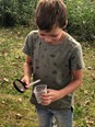 beestjes 3