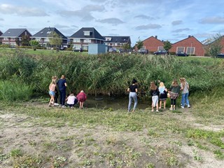 beestjes