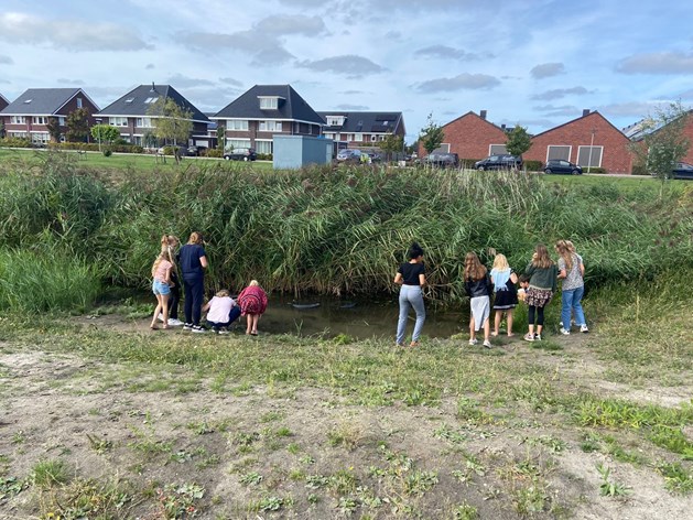 beestjes