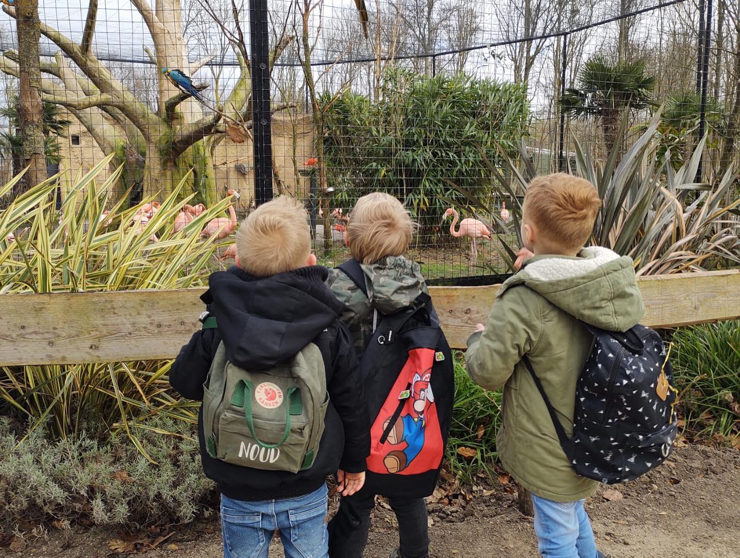 Groep 1/2 op bezoek bij Hoenderdeall