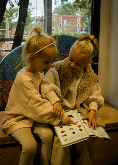 Schoolontwikkeling